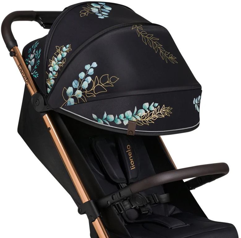 Коляска прогулянкова Lionelo Cloe GOLDEN MOMENTS